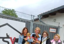 425 Euro dank Kuchenbuffet der AOK Hessen