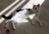 Griechische Prinzessin sucht Paradies!