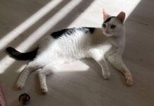 Griechische Prinzessin sucht Paradies!