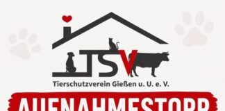 Aufnahmestop im Tierheim Gießen