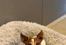 Oskar sucht Führung, Verständnis und eine zweite Chanc