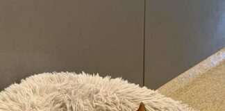 Oskar sucht Führung, Verständnis und eine zweite Chanc
