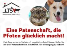 Für Hunde, Katzen, Exoten & Nutztiere: Werdet Pate und sichert Zukunft
