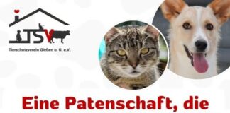 Für Hunde, Katzen, Exoten & Nutztiere: Werdet Pate und sichert Zukunft