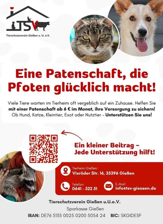 Patenschaft Tierheim
