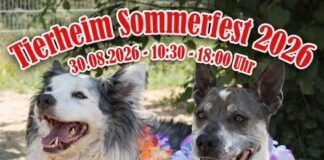 Save the Date zu unserem Sommerfest im Tierheim!