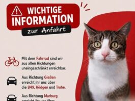 Auf zum Sommerfest 2026! So erreicht ihr das Tierheim Gießen trotz Baustellen