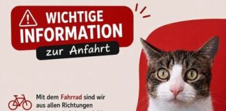 Auf zum Sommerfest 2026! So erreicht ihr das Tierheim Gießen trotz Baustellen