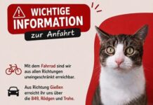 Baustelle vor dem Tierheim: Geänderte Anfahrt beachten!
