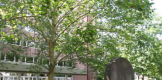 Zahl der Arbeitslosen im Juli gestiegen