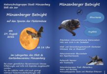 Zur “Fledermausnacht” in Münzenberg am Samstag 29.08.2026 ab 18.00 Uhr lädt die Naturschutzgruppe Stadt Münzenberg e.V. ein