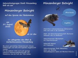 Zur “Fledermausnacht” in Münzenberg am Samstag 29.08.2026 ab 18.00 Uhr lädt die Naturschutzgruppe Stadt Münzenberg e.V. ein