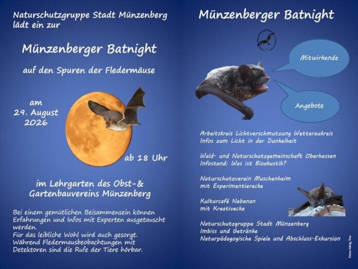 Einladung Münzenberger Batnight Flyer beidseitig