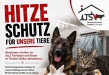Hitzeschutz für unsere Quarantänestationen