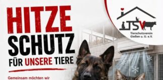 Hitzeschutz für unsere Quarantänestationen