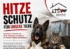 Spendenaufruf: Hitzeschutz für unsere Quarantänestationen