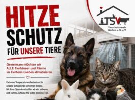 Spendenaufruf: Hitzeschutz für unsere Quarantänestationen