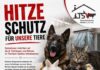 Dringend: Hitzeschutz für unsere Quarantäne- und Krankenstationen!