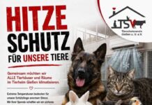 Dringend: Hitzeschutz für unsere Quarantäne- und Krankenstationen!