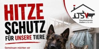 Dringend: Hitzeschutz für unsere Quarantäne- und Krankenstationen!