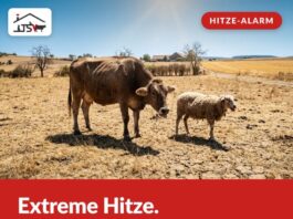 Extreme Hitze – bitte schaut hin!