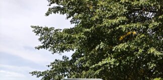 Tempo 30 Willkür trotz klarer Rechtslage?