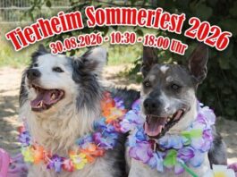 Einladung zum Sommerfest im Tierheim Gießen: Buntes Programm für die ganze Familie