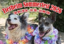 Sommerfest im Tierheim Gießen am 30. August