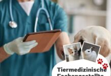 Tiermedizinische Fachangestellte (m/w/d) gesucht – 15 Std./Woche