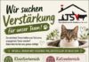 Wir suchen Verstärkung für unser Team!