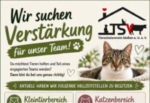 Wir suchen Verstärkung für unser Team!