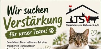 Wir suchen Verstärkung für unser Team!