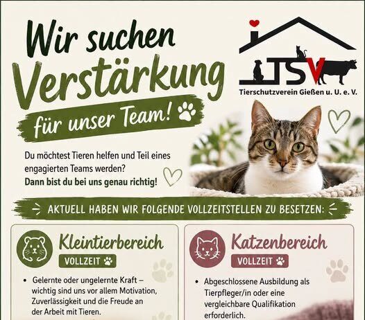 Wir suchen Verstärkung für unser Team!