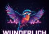 WUNDERLICH: Electronic Music Festival im Licher Waldschwimmbad