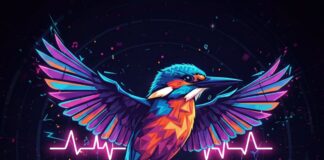 WUNDERLICH: Electronic Music Festival im Licher Waldschwimmbad