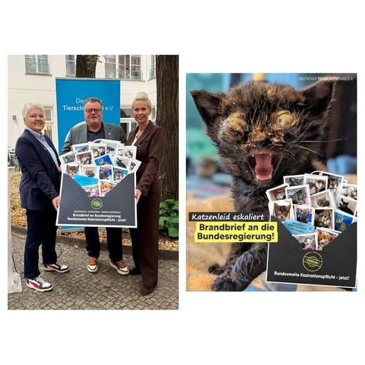 Brandbrief