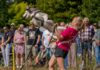 2.000 Gäste trotzen Baustellen-Chaos: Sommerfest des Gießener Tierheims wird zum vollen Erfolg