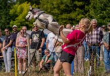 2.000 Gäste trotzen Baustellen-Chaos: Sommerfest des Gießener Tierheims wird zum vollen Erfolg