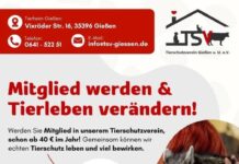 Jetzt Mitglied werden und Tieren eine Zukunft geben!