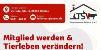 Jetzt Mitglied werden und Tieren eine Zukunft geben!