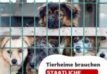 Tierheime brauchen staatliche Unterstützung!