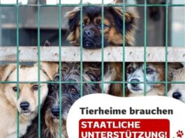 Tierheime brauchen staatliche Unterstützung!