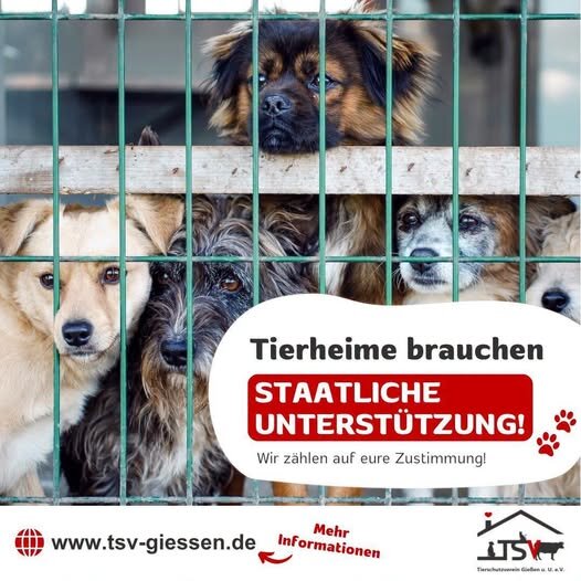 Tierheime brauchen unterstützung