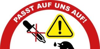 Kein Wasser für geschwächte Wildvögel! Warum gut gemeint schnell gefährlich wird
