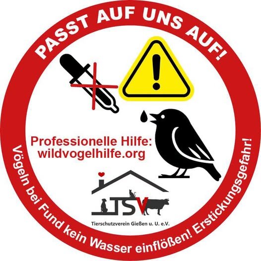 Vogel