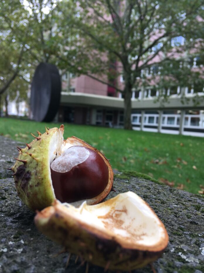 AA_Gießen_Herbst1