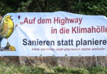 Initiative „Sanieren statt planieren!“ reagiert auf Baumfällungen