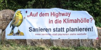 Initiative „Sanieren statt planieren!“ reagiert auf Baumfällungen