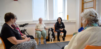 Dave – ein Therapiebegleithund, der Menschen erreicht