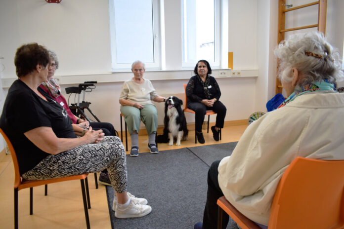 Therapiebegleithund Dave zu Besuch in der Geriatrischen Tagesklinik